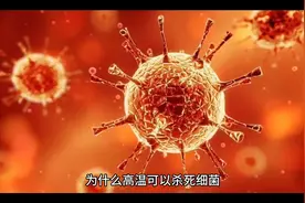 为什么煮沸后的腐肉一样不能食用