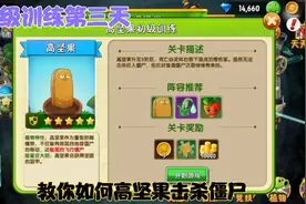 植物大战僵尸2：初级训练第三天，教你如何用高坚果击杀僵尸