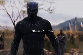 Black Panther黑豹高燃剪辑片段视频封面
