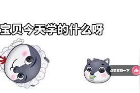 3.1415926视频封面