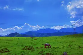 兰州附近居然还有这么一个漂亮的大草原。视频封面