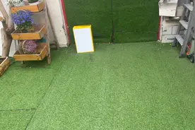 每次来要吃的都像饿狼似的小猫咪，吃饭还得我陪着吃，撒娇的很呢视频封面
