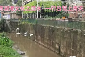 孕育湖湘文化之涟水--孙水一行白鹭上青天视频封面
