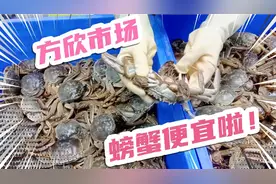 西安方欣海鲜市场螃蟹大降价!个头美还便宜 来看看多少钱?视频封面