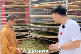 红茶竟然是绿叶子做的，听完师傅的话，这些年的茶都白喝了！视频封面