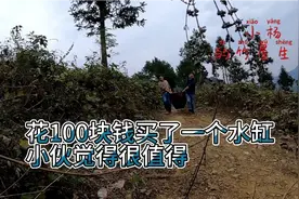 花100块钱买了一个水缸，小伙觉得很值得，就是小酒坛太贵了视频封面