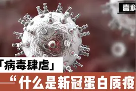 蛋白质疫苗更安全？新冠病毒的最新疫苗已经到来！视频封面