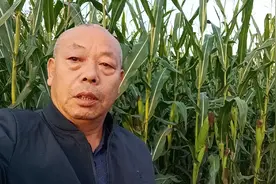 改革开放初期，城乡差距最小，80年代末几年，城市羡慕农村视频封面
