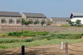 南京的农村也很美，江宁徐家院。来自大自然的原声音最是完美～视频封面