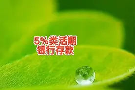 银行存款七天年化利率4.85%，类活期储蓄，注意存款不要超过金额视频封面