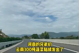 云南上千吨蔬菜自愿捐赠，急需物流援助视频封面