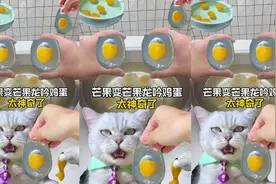 学做芒果龙吟鸡蛋......这也太震撼了吧视频封面