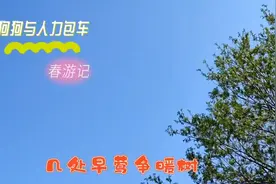 狗狗与人力包车：春游记视频封面