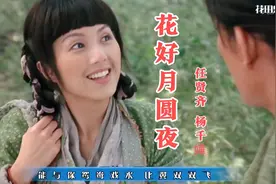 任贤齐杨千嬅《花好月圆夜》旋律优美动听！经典古风 情歌对唱视频封面