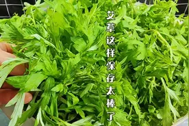 艾草全身都是宝，教你这样保存，一年四季新鲜，随吃随取简单实用视频封面