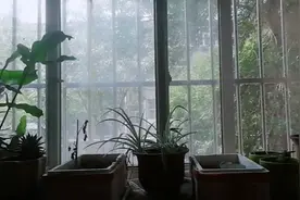 成年了没有暑假