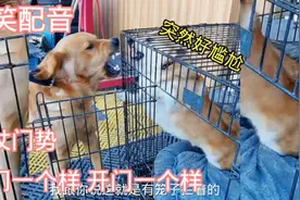 搞笑配音，门一开，突然好尴尬视频封面