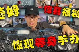 蕾姆惊喜福袋，惊现等身手办？视频封面