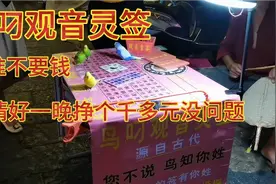逛西街发现鸟叼观音灵签，鸟说你走桃花运财运好一下扫码100元视频封面
