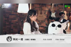 王灏儿/胡鸿钧《到此一游》曲:张家诚 词:张美贤视频封面