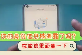 用微信查一下，看看你的身份信息有没有被泄露，一查太恐怖了视频封面