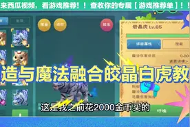 创造与魔法融合皎晶白虎教学