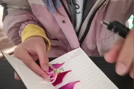居然还有人不知道修容和眼影防水，不能吗