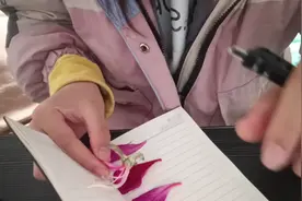 居然还有人不知道修容和眼影防水，不能吗