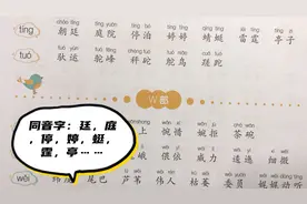 同音字：小朋友们我们今天认识廷，庭，停，婷，蜓，霆，亭……