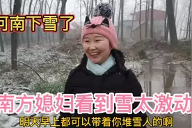 广东媳妇长这么大，第一次在河南看到雪，激动的乱跑不想回家视频封面