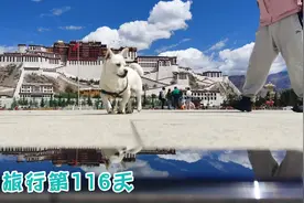 进入布达拉宫广场的注意事项。希望可以帮助到你们！视频封面