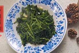 枸杞头，你吃过吗？凉拌清炒都相宜视频封面