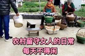 农民的花生种子咋处理，村里留守女人手工进行，为啥不用机器视频封面