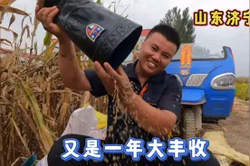 山东玉米大丰收，男女老少齐上阵，真正的农村大丰收他来了视频封面