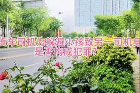 货车司机为躲避小孩致另一司机身亡，是否构成犯罪？#城阳律师视频封面