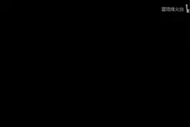 男乒积分排行榜，张继科雄霸多久