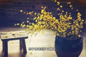 错换人生田静直播中确定回九江买房，一家人早日团聚视频封面