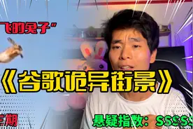 诡异街景：我在谷歌地图上找到了“会飞的兔子”，太不可思议了视频封面