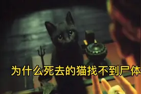 为什么死去的猫找不到尸体，你知道吗，涨知识视频封面