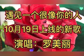 《遇见一个很像你的人》遇见一个很像你的人，如果那是你该多好！视频封面