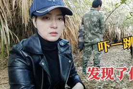 野猪配种的母猪终于带回一群小野猪，小伙追上前，突然有更大发现视频封面