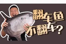 全身都是寄生虫！翻车鱼不翻车？