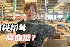 桦树茸真能降糖吗？小卉逛长白山人参市场，给粉丝挑选桦树茸视频封面