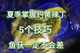 夏季垂钓黄辣丁，只要掌握这5个技巧，鱼获一定不会差
