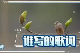 【李洪海】题名和作词  || 玉兰花视频封面
