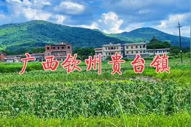 钦州这个村子出了一个军长，今天来看看，故居找不到，但风景很美视频封面