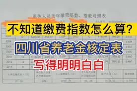 不知道缴费指数如何计算？看四川省养老金核算表！写得特别明白视频封面