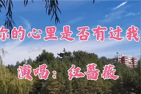 你的心里是否有过我？一声追问饱含多少真情，感人至深视频封面