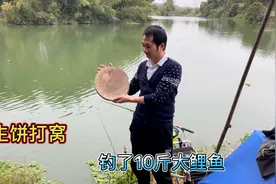 10块钱的花生饼打窝，果然没让我失望，钓了一条10斤大鲤鱼视频封面