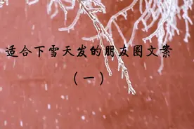 这些下雪天文案，让初雪有了浪漫！（一）视频封面